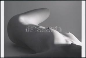 cca 1989 Szépek és huncutok, szolidan erotikus felvételek (a pozitív és negatív felvételek nem össze...