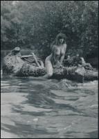 cca 1986 Szolidan erotikus felvételek (a pozitív és negatív felvételek nem összetartozók), 3 db papí...