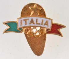 Olaszország DN ITALIA zománcozott fém jelvény, hátoldalán FIRENZE gyártói jelzés T:1- Italy ND ITALIA enamelled metal badge with FIRENZE makers mark on back C:AU