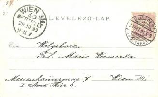 1897 (Vorläufer!) Budapest, Királyi vár és várbazár, Lánchíd, Szent Margitsziget fürdő épület, Szent...