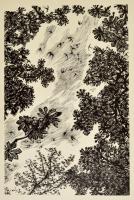 Gy. Szabó Béla (1905-1985): Tájak, 3 db fametszet, papír, jelzettek a dúcon, 35,5×23,5 cm