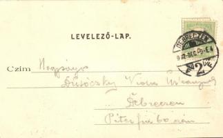 Hortobágy, Délebéd. Délibábok Hazája. Haranghy felvétele és Telegdy K. Lajos utóda kiadása