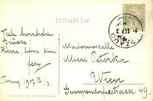 Tiszaug, Tisza-Ugh; Báró Fechtig Imre kastélya