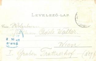 1896 (Vorläufer!) Budapest, Fővárosi vigadó, Deák, Eötvös és Petőfi szobor, Tudományos akadémia. Ott...