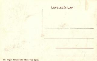 Visegrád, Kereskedelmi Alkalmazottak országos Egyesületének üdülőtelep