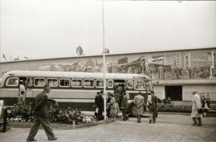 1949 IKARUS autóbuszok kiállítása a BNV-n, 7 db szabadon felhasználható vintage negatív Kotnyek Anta...