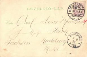 1896 (Vorläufer!) Budapest, Ferenc József rakpart a Gellérthegyről, Császár fürdő, Tabán. Kunstansta...