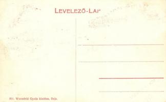 Baja-Bátaszék, épülő vasúti híd. Wurmfeld Gyula kiadása