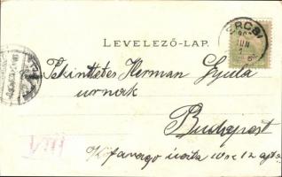 Ercsi, Fő utca, Eötvös emlékszobor. Floral, Art Nouveau, litho  (EK)