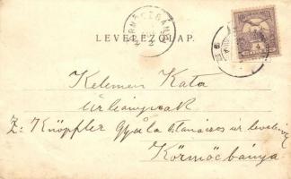 Gödöllő, Az Erzsébet szobor leleplezési ünnepe, Királyi család Ferenc Józseffel sziklacsoportnál. Ko...