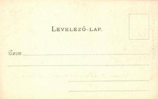 Budapest XI. Kelenföld, Mattoni-féle Erzsébet Sósfürdő kertje. Divald Károly 374. (EK)