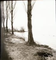 cca 1950 Balatoni felvételek, köztük a Csobánc hajó is, 11 db szabadon felhasználható vintage negatí...