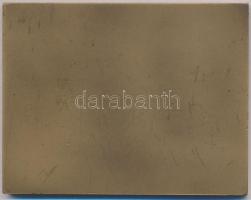 Madarassy Walter (1909-1994) 1973. "Budapest 1873-1973" Centenáriumi Br plakett eredeti dí...