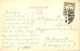 Nagykároly, Carei; Széchenyi utca, drogéria és Weiszman Jakab üzlete. W.L. 1896. / street view with ...