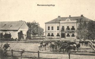 Marosszentgyörgy, Sangeorgiu de Mures; Máriaffi Lajos kastély és a ménes / castle with horse stud farm