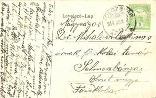 Kolozsvár, Cluj; Sétatéri mulató. Tájképes litho keret. Kiadja Schuster Emil / Promenade kiosk, land...