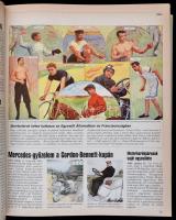 Walter Umminger: A sport krónikája. Szerk.: Karádi Ilona. Bp., 1992, Officina Nova. Kiadói egészvász...