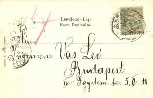 Krapina, Korpona; Gajev trg., Stari grad. Naklada St. Meniga / tér, vár. Szecessziós litho keret pók...