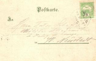 Kraljevica, Portoré; Hotel Liburnia bei Fiume. Oscar Rohr litho