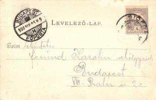 1900 Siófok, Fürdőház, fürdőzők. Divald Károly 204. sz. (EK)