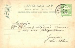 Phönixhuta, Fönixhuta, Phoenixhütte (Sáros); bányaváros. Feitzinger Ede 440. 1902/12. / mining villa...