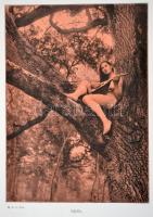 Bruno Meyer: La Grace Féminine. Ouvrage artistique illustré par le nu photographique. Reproductions ...