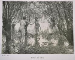 Bruno Meyer: La Grace Féminine. Ouvrage artistique illustré par le nu photographique. Reproductions ...