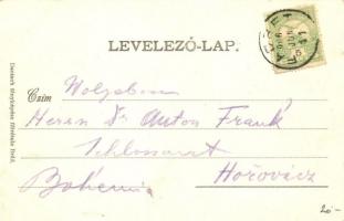 Facset, Facsád, Faget; Magyar Király szálloda a terasszal. Deutsch fényképész fölvétele / hotel with...