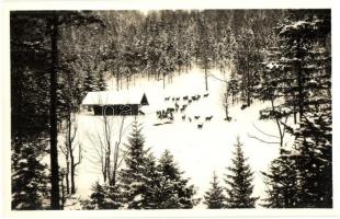 Mariazell - 18 pre-1945 town-view postcards; Mariazell and nearby places. Photoverlag J. Kuss, Klaus...