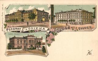 1899 Eszék, Osijek, Esseg; iskola, Pénzügyigazgatóság, Kereskedelmi kamara / school, Financial Directorate, Chamber of Commerce. Art Nouveau, floral, litho. O. Knittel No. 1587.