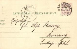 1899 Eszék, Osijek, Esseg; iskola, Pénzügyigazgatóság, Kereskedelmi kamara / school, Financial Direc...