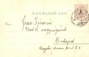 ~1899 Kassa, Kosice; Fő utca déli része, Gazdasági tanintézet, Mária szobor. Kapható Vitéz A. Kömjok...