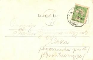 Buziásfürdő, Szent Antal csodakút és tó, csónakázók, Nosek Gusztáv üzlete és saját kiadása / wonder ...