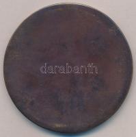 2002. "10 éves a Magyar Elhízástudomány" Br plakett (80mm) T:1-,2