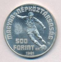 1981. 500Ft Ag "Labdarúgó Világbajnokság 1982" T:BU Adamo EM65
