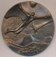 Szentirmai Zoltán (1941-) 1978. "MTV - XVIII. Miskolci TV fesztivál 1978" kétoldalas Br pl...