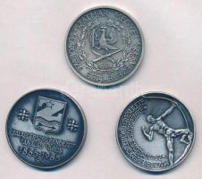 Szabolcs Péter (1942-) 1984. "MÉE Zala megye / Kisfaludi Strobl Zsigmond" ezüstpatinázott ...