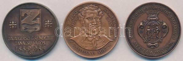 Szabolcs Péter (1942-) 1984. "MÉE Zala megyei szervezete - Zalaegerszeg / Zalaegerszeg rendezet...