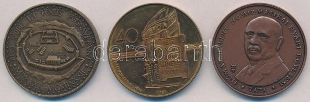 Kiss Sándor (1925-1999) 1982. "Magyar Éremgyűjtők Szombathelyi Csoportja - Kőszeg Jurisics Mikl...