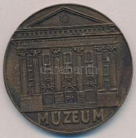 DN "Dr. Jósa András / Múzeum" Br emlékplakett (60mm) T:2,2-