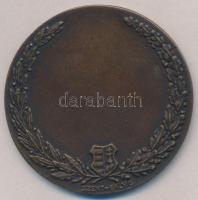 DN "A szaktudás és munka elismerésének jeléül" Br emlékplakett. Szign.: SZENT-GÁLY G. (69m...