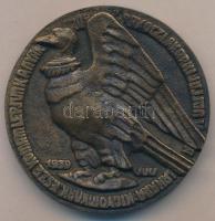 Csúcs Ferenc (1905-1999) 1939. "Esze Tamás kapitány" kétoldalas Br plakett (69mm) T:2