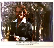 1979 Balázsovits Lajos az Élve vagy halva című magyar filmben, nagyméretű filmfotó, feliratozva, 50x60 cm