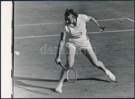 Teniszezők játék közben, 3 db fotó, 18x13 cm