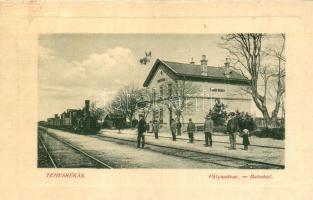 Temesrékas, Rékás, Recas; vasútállomás gőzmozdonnyal. W.L. Bp. 6728. / Bahnhof / railway station with locomotive