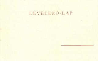 Bács, Bac; Kobetits József mészáros és hentes felakasztott húsokkal / Kobetits-Specialiteten / buthe...
