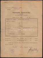 1932-1944 Diva és Ida versenylovak iratai, csikó- és marhalevelei, származási igazolása, stb., 6 db