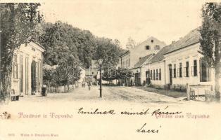 1900 Topuszka, Topusko; utcakép üzlettel / street view with shop