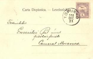 1900 Topuszka, Topusko; utcakép üzlettel / street view with shop