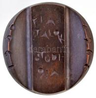 1968. "Fiatalok Stúdiója 1958-1968" kétoldalas Br plakett (~83mm) T:2